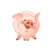 95属猪男正缘在哪一年(寻找真爱的最佳时机)