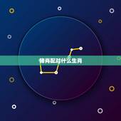 猪肖配对什么生肖(十二生肖相生相克大介绍)