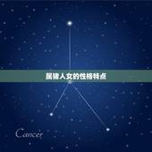 属猪人女婚配属相(如何选择最合适的伴侣)