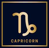 2023年摩羯座6月财运(财富大丰收财源滚滚来)