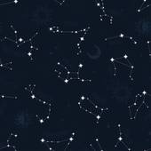 狮子座和双鱼座 狮子座和双鱼座谁最好