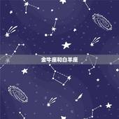 金牛和12星座关系表(星座配对大介绍)