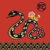 属蛇的正缘是哪个生肖男(揭秘蛇年女最佳配偶)