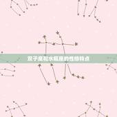 双子失去水瓶会后悔吗(星座配对分析)