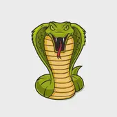 2025属蛇财运哪个月最好？三大黄金节点解析