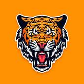 98年的虎什么时候结婚(回顾虎妻爱情故事)