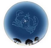 一做生意就发财星座女巨蟹(如何在商场中脱颖而出)