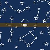 狮子座的性格特征和命运(介绍自信、热情、气质与命运的关系)