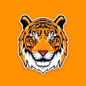 属虎每个时辰出生的命运(十二时辰解析揭秘属虎人的人生轨迹)