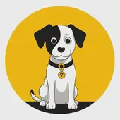 1982年狗什么命五行缺什么