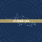 2023年运势12生肖(吉凶难测运势多变)