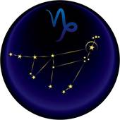 12月29日摩羯女性格(坚韧不拔追求完美的人生导师)