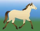 属马生肖与什么生肖相克(马与哪些生肖不合)