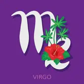 处女座今日运势全解读 星座屋：2月9日必看6大细节