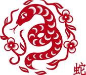 属蛇的巨蟹座男生性格特点(细腻善于察言观色)