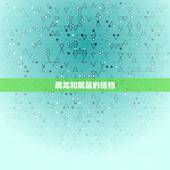 属龙跟什么属相合得来(十二生肖中搭档是谁)