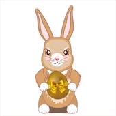 1987年兔佩戴什么好(如何选择适合自己的幸运饰品)