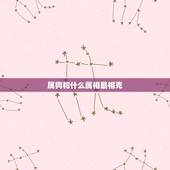 属狗和什么属相最相克(如何避免狗年不顺)