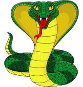 2001年属蛇一生运程(如何预测和改善)