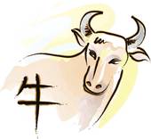 1997属牛的婚姻如何(幸福还是坎坷不堪)