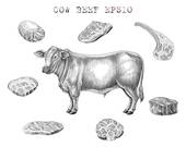 1985属牛女性格婚姻(如何找到幸福的婚姻)