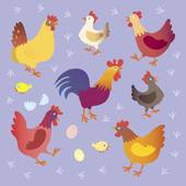 81年鸡今日财运几颗星(财运亨通喜事连连)