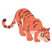 1998年属虎几月命苦(解析属虎人的命运如何)