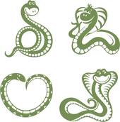 属蛇的最佳婚配对象女性(如何选择理想的伴侣)