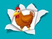 今日财运在哪个方向属鸡(财富方位指南)