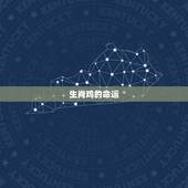 生肖鸡婚姻与命运如何(介绍婚姻命运多变)