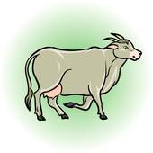 白羊座和天蝎座配对是多少(星座专家揭秘这两个星座的爱情缘分到底有多大)