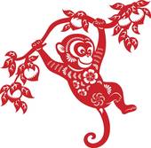 我感觉猪猴结婚挺幸福的(一场跨越物种的爱情盛宴)