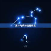 属牛与鸡相婚配好不好(介绍星座配对的)