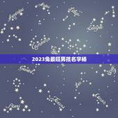 2023兔最旺男孩名字杨(寓意吉祥，适合取名)