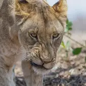 天蝎座最不搭的三个星座：性格矛盾深度解析