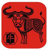 十二星座最聪明的星座男(谁是智商的男神)