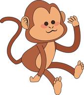 15岁属猴是哪年出生的(猴年生肖解析)