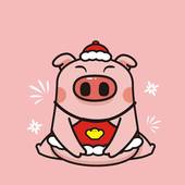 1995属猪配什么生肖(最佳搭档大揭秘)