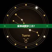 12生肖幸运数字查询(探秘各生肖的幸运数字)