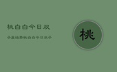 桃白白今日双子座运势，桃白白今日双子座运势详解