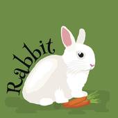 1987属兔男一生婚姻(如何避免婚姻危机)