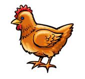 2023年属鸡财运最旺(福星高照财源滚滚来)