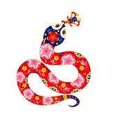 属蛇和属鸡的财运怎么样(解析谁更有财运)