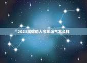 2023属蛇的人今年运气怎么样？运势详解，给你科学的心灵疗伤