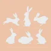 属兔今日打麻将财运解析：手气预测+技巧