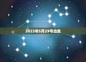 2023年5月29号出生(未来新一代的降临)