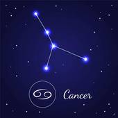 陶白白星座分析巨蟹女性格(温柔的家庭主妇)