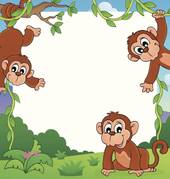 1946年属猴的多少岁(猴年老人的年龄之谜)