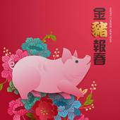 96年属猪最佳结婚年龄(何时才是最佳时机)