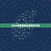 2023年属兔取名宜用字仕琦(解读属兔人的命名方式)